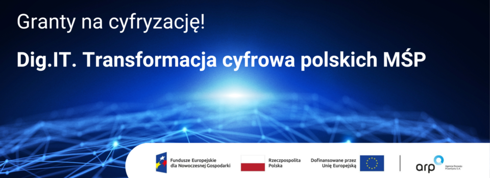 Dig.IT Transformacja cyfrowa polskich MŚP